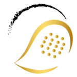 Franco's Winter Cup - Offener Bewerb Expert