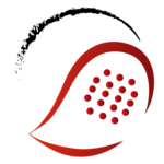  Head Elite Tour 2025 der Austrian Padel Union (sponsored by EMS)